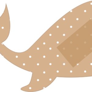 Whale Band Aid Bandage Magnet