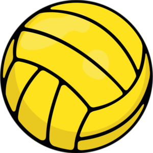 Water Polo Ball Printed Full Color Magnet