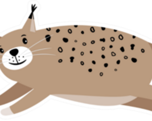 Cute Bobcat Jumping Sticker