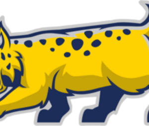 Blue/Yellow Bobcat Mascot