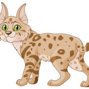 Cute Bobcat Sticker