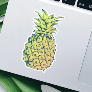 Laptop Stickers